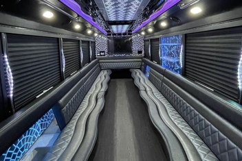Lewisville Party Bus Interior